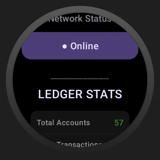 Google Watch - Network Status